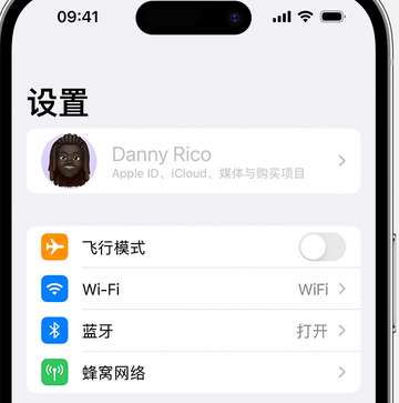 翠屏appleID维修服务iPhone设置中Apple ID显示为灰色无法使用 