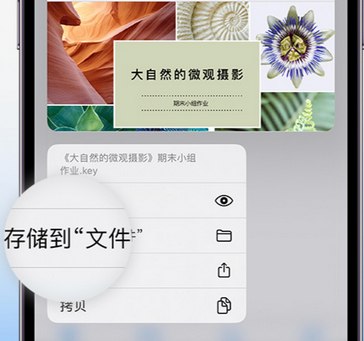 翠屏apple维修中心分享iPhone文件应用中存储和找到下载文件