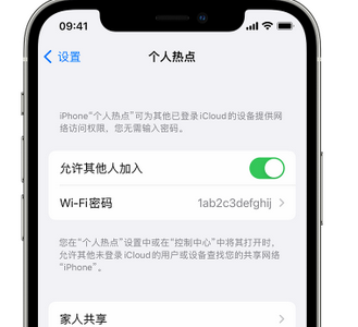 翠屏apple服务站点分享iPhone上个人热点丢失了怎么办 