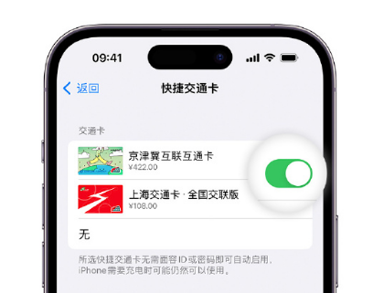 翠屏apple维修点分享iPhone上更换Apple Pay快捷交通卡手绘卡面 