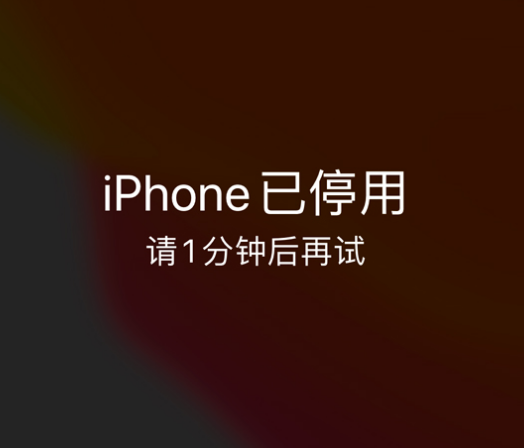 翠屏苹果手机维修分享:iPhone 显示“不可用”或“已停用”怎么办？还能保留数据吗？ 