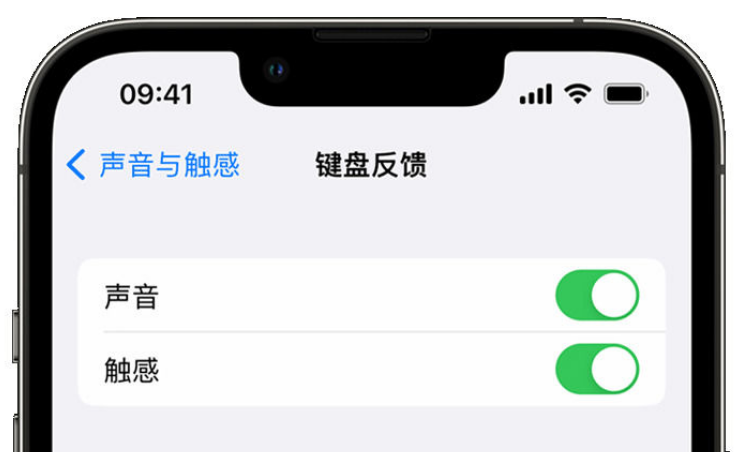 翠屏苹果手机维修分享iPhone 14触感键盘使用方法 