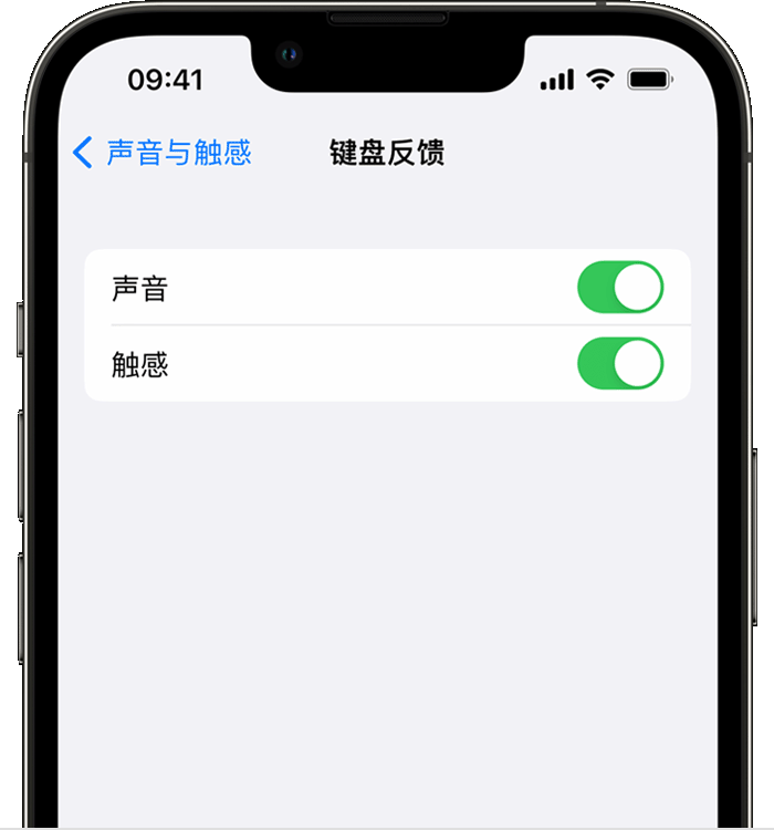 翠屏苹果14维修店分享如何在 iPhone 14 机型中使用触感键盘 