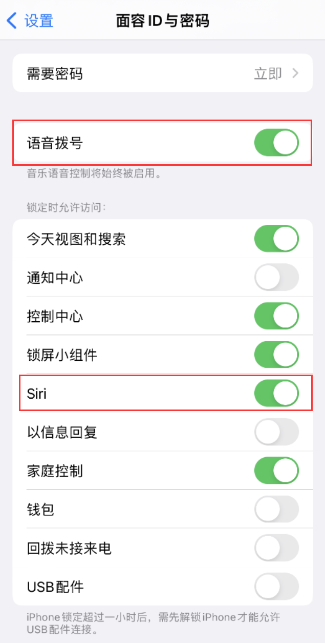 翠屏苹果维修网点分享不解锁 iPhone 的情况下通过 Siri 拨打电话的方法 