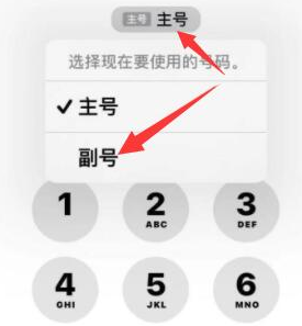 翠屏苹果14维修店分享iPhone 14 Pro Max使用副卡打电话的方法 