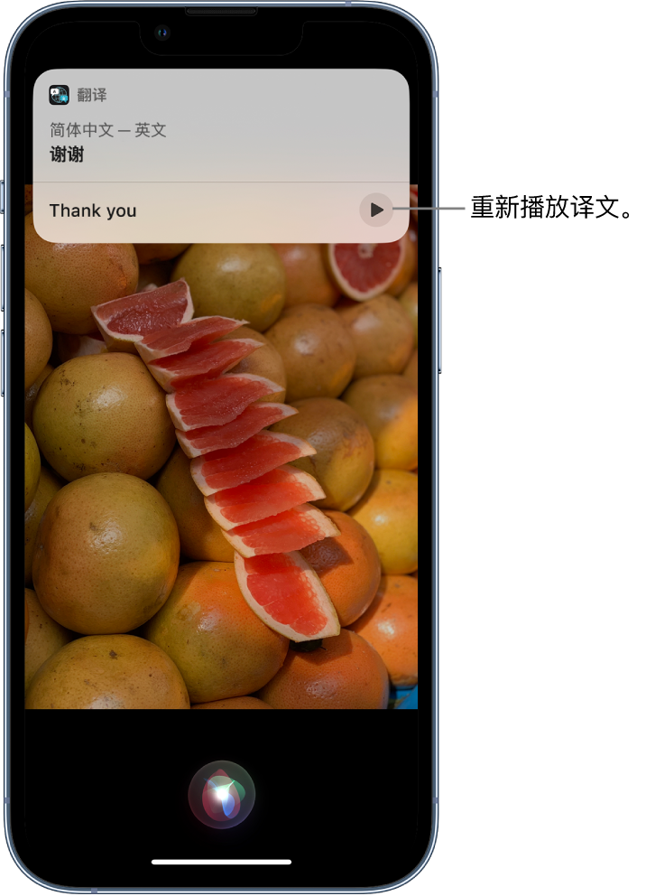 翠屏苹果14维修分享 iPhone 14 机型中使用 Siri：了解 Siri 能帮你做什么 