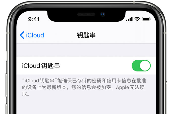 翠屏苹果手机维修分享在 iPhone 上开启 iCloud 钥匙串之后会储存哪些信息 