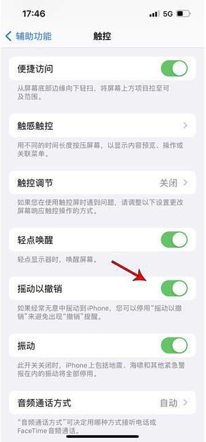 翠屏苹果手机维修分享iPhone手机如何设置摇一摇删除文字 